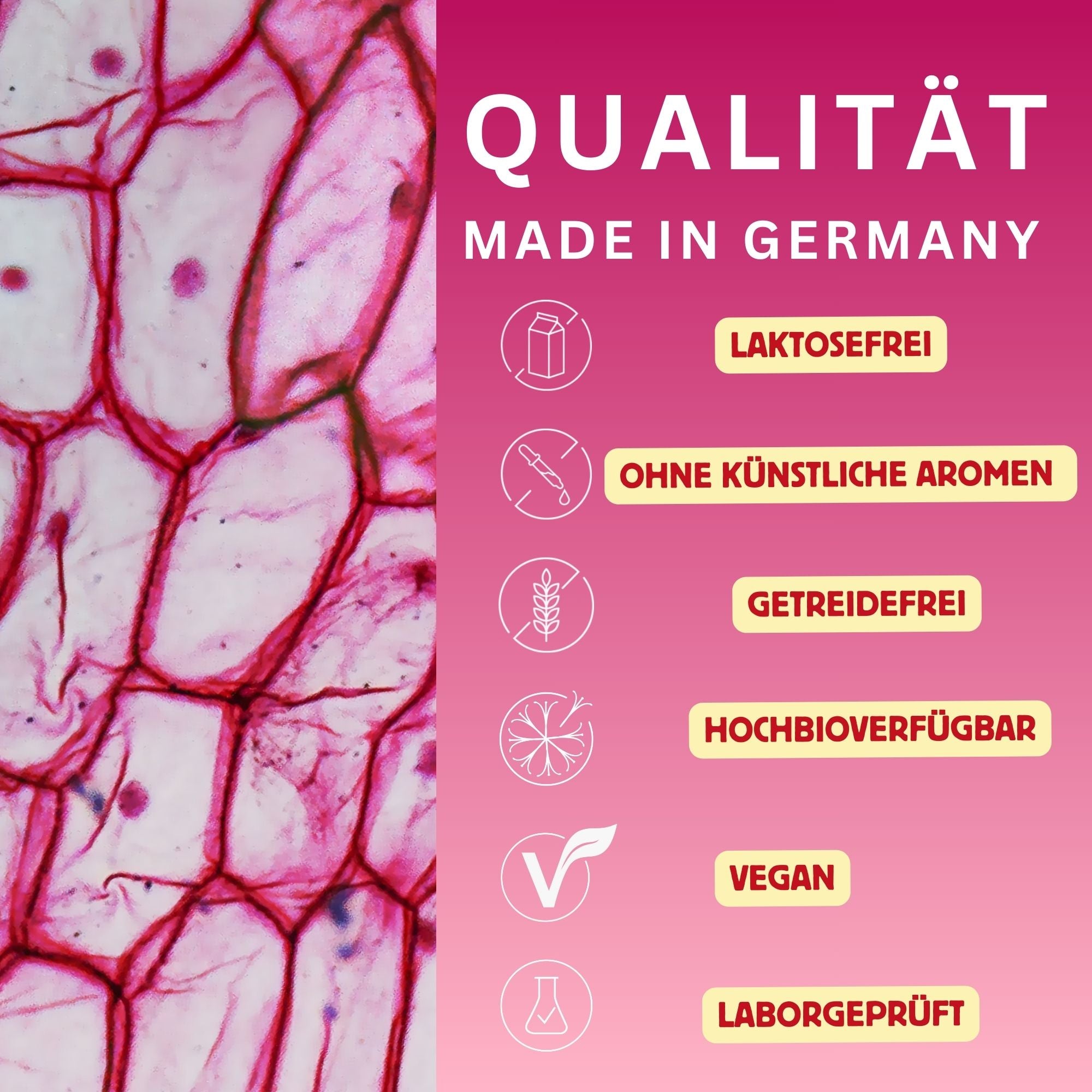 Granatapfel Extrakt+