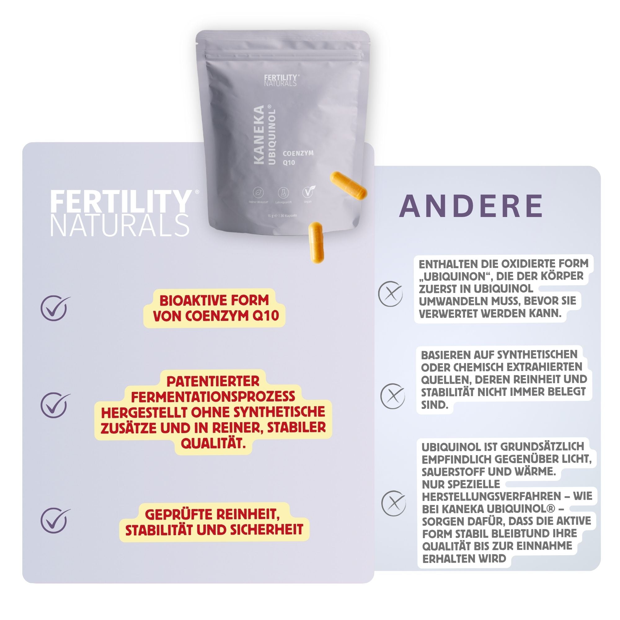 Q10 | Maca | Eisen Bundle