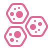 800 µg Folat als Quatrefolic® 5-MTHF – in bioaktiver Folatform.